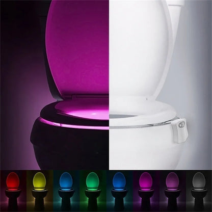 Smart Motion Sensor Toilet Seat Night Light