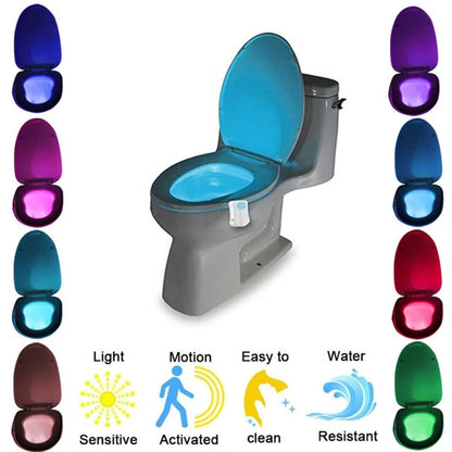 Smart Motion Sensor Toilet Seat Night Light